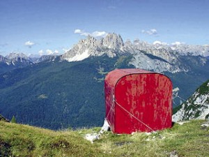 foresta di Somadida, in Cadore