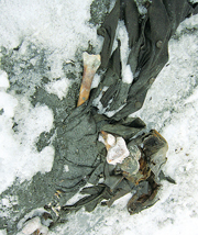 Il milite sepolto per un secolo nei ghiacciai dell’Adamello